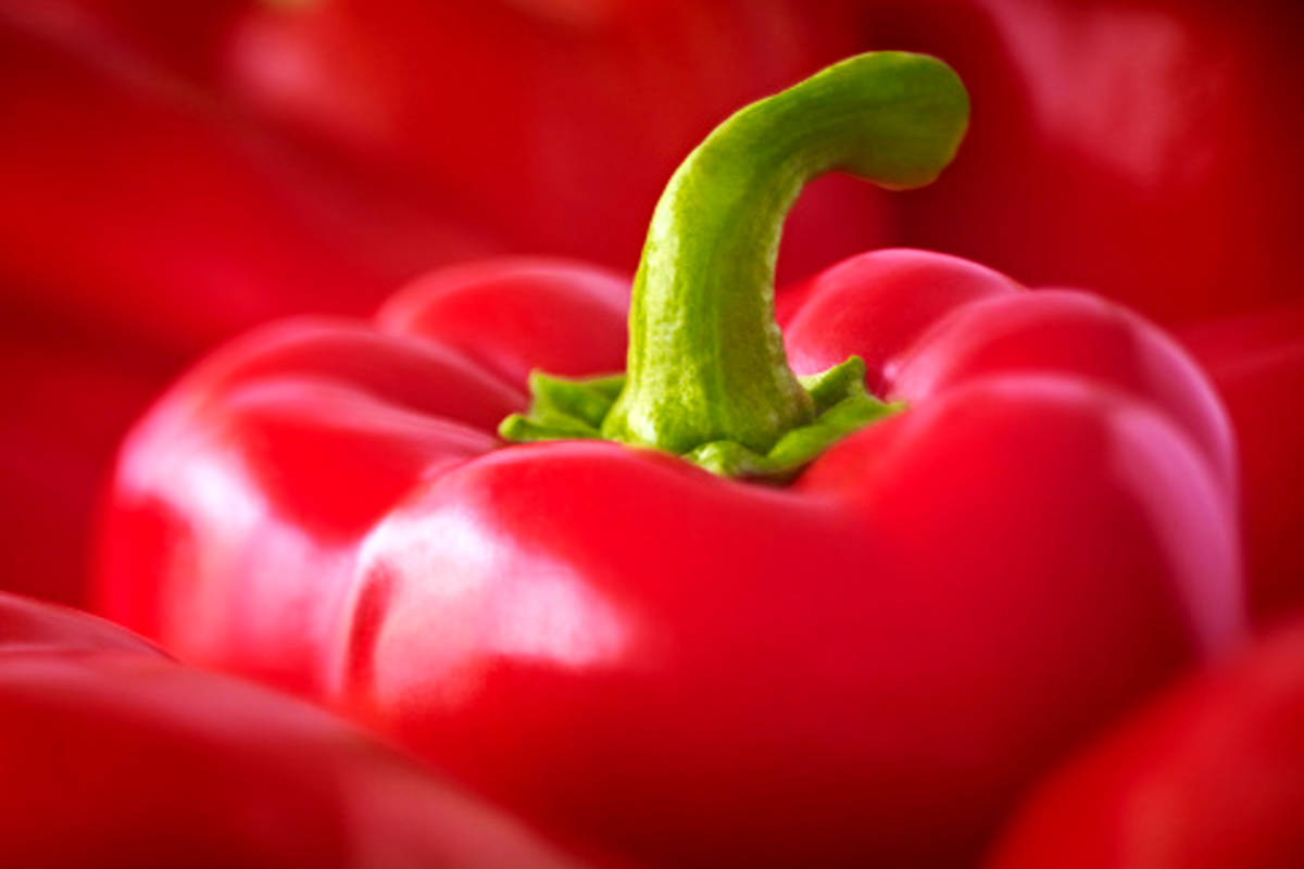 فلفل برای زن باردار، ضرر دارد؟