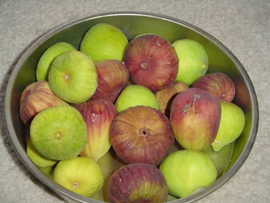 خواص انجیر برای کودکان، میوه‌ای مقوی و شیرین است