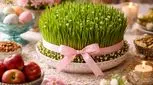 چگونه امسال زیباترین سبزه عید را درست کنیم؟ راهنمای کامل سبزه عید خوشرنگ و پرپشت