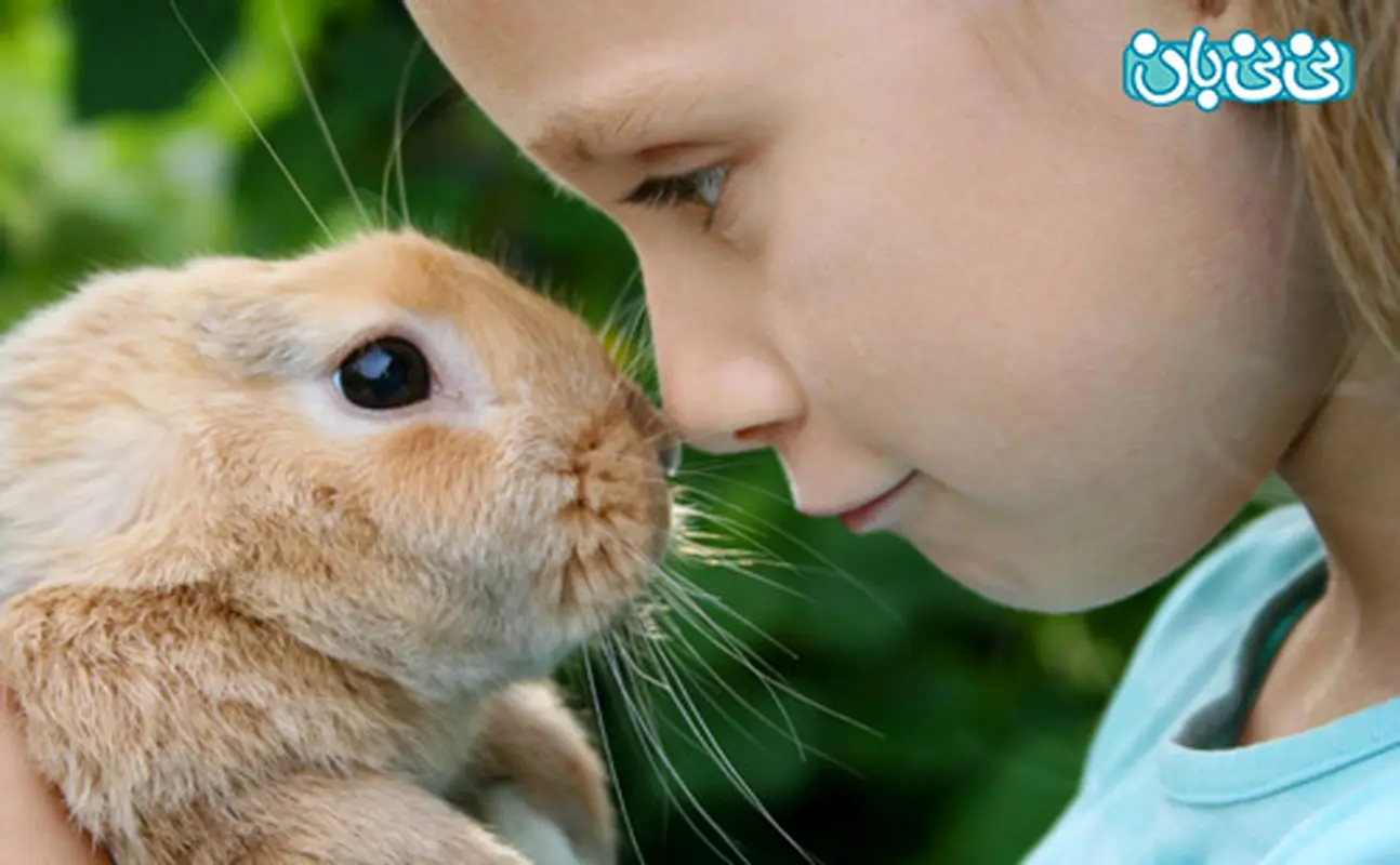 نحوه رفتار کودکان با حیوانات