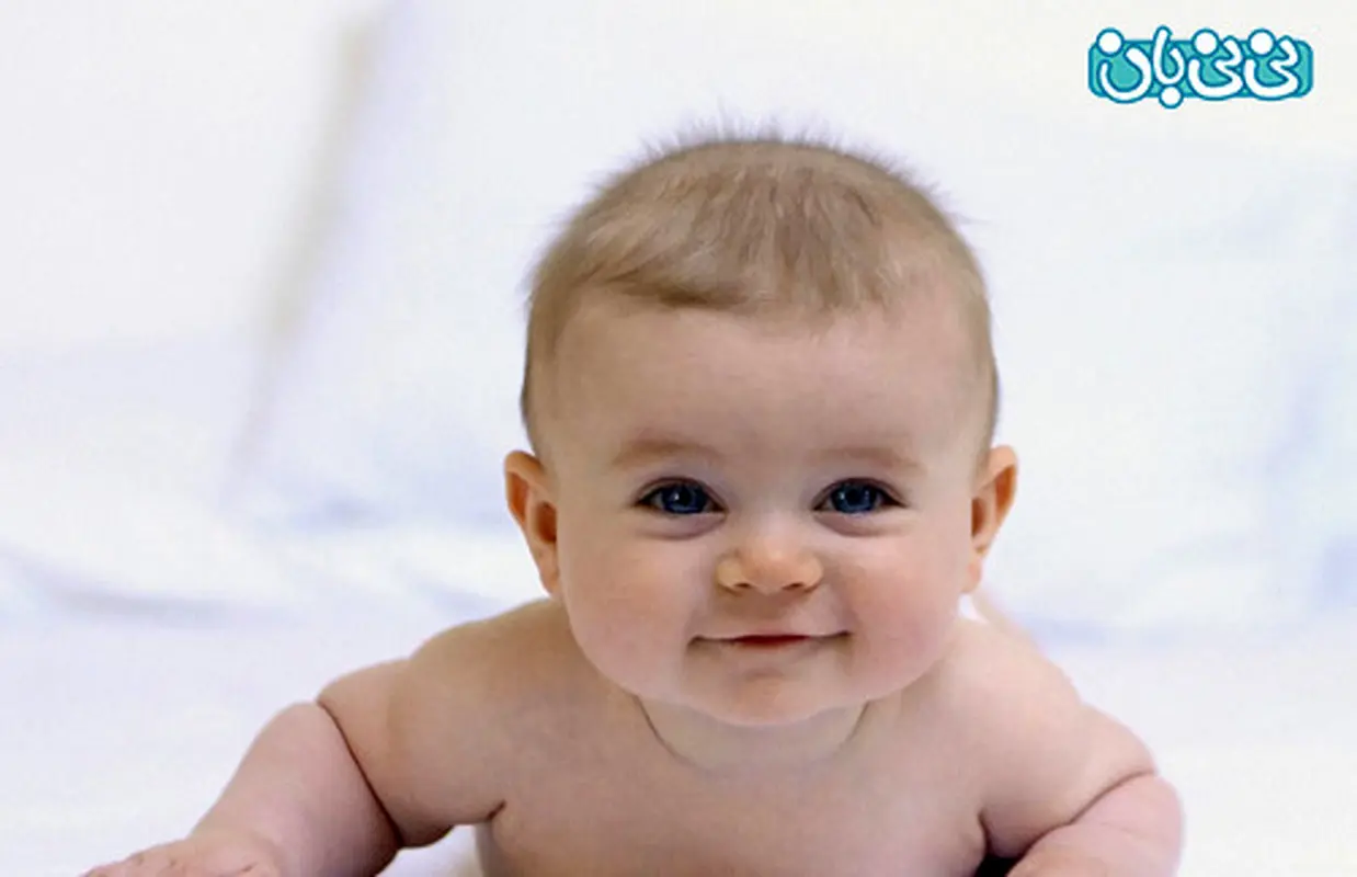 دالی موشه را جدی بگیرید!