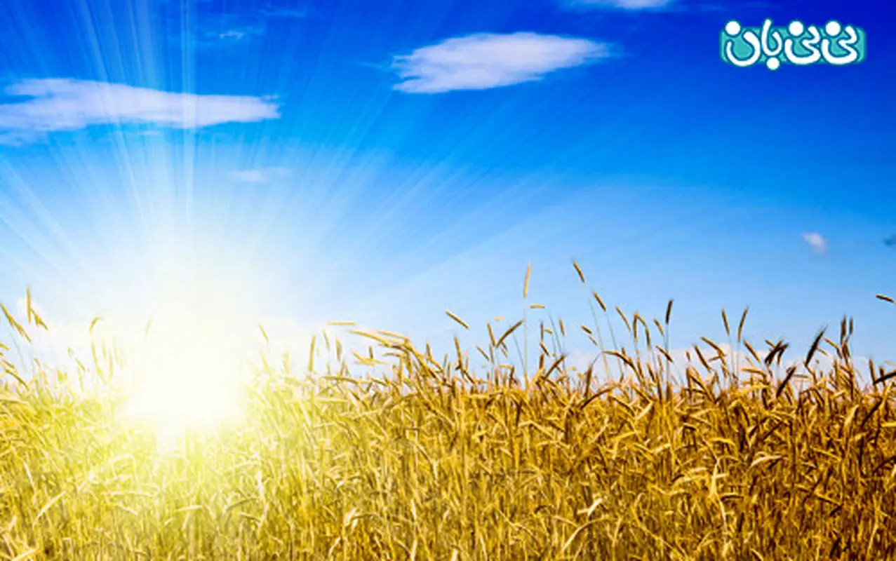 نیازهای حیاتی کودکان، نور از پشت پنجره کافیه؟