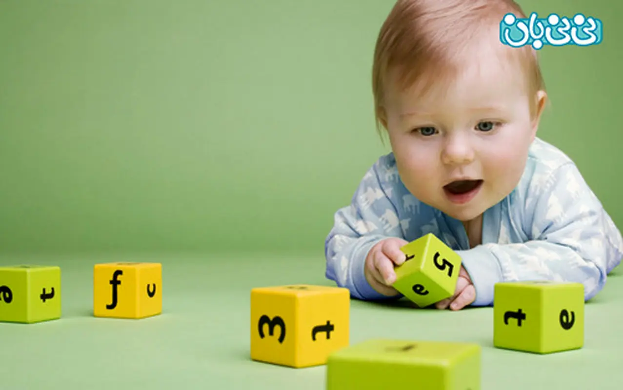 قدرت درک نوزاد، فهم تسلط و سلسله مراتب