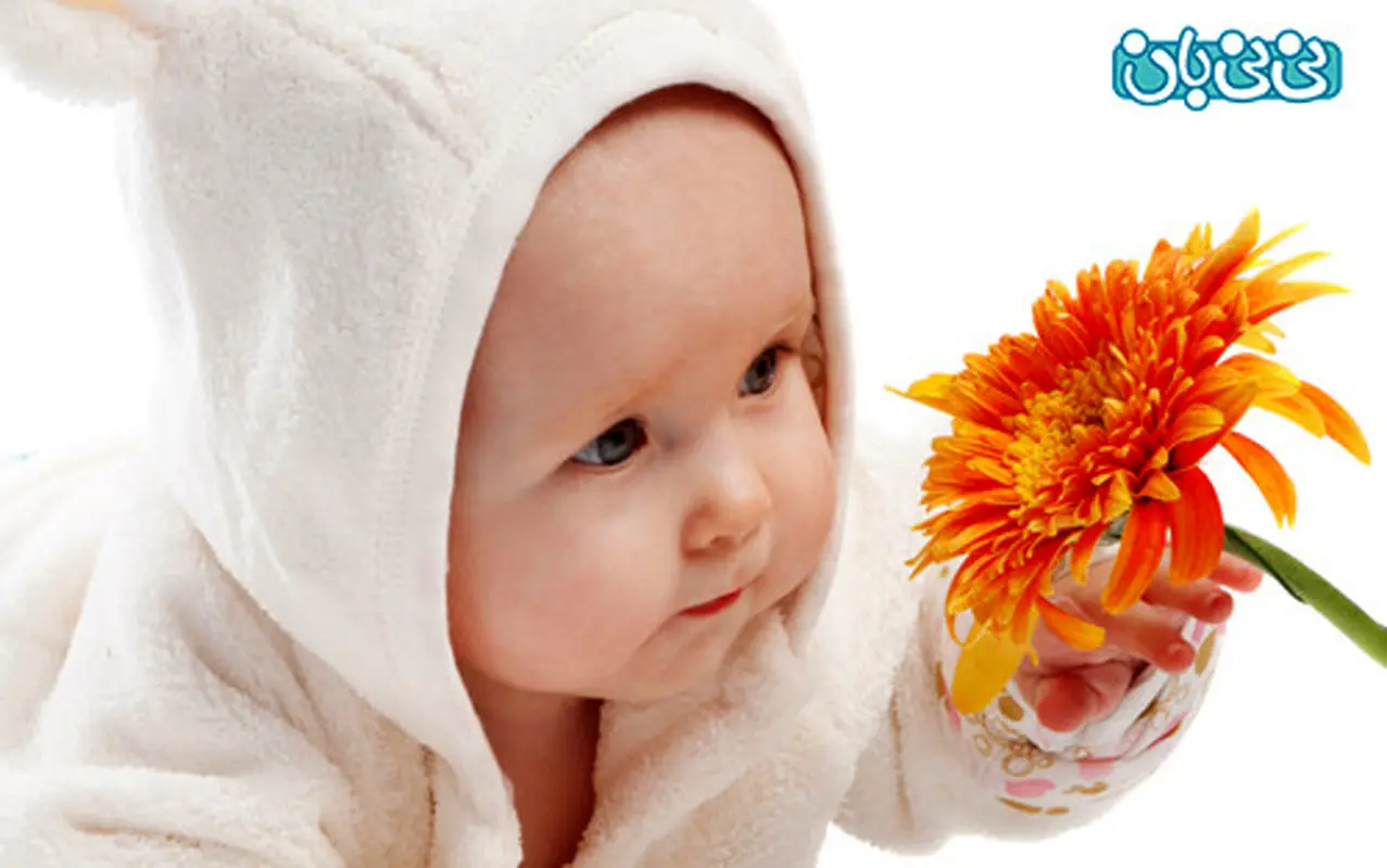 تربیت کودک از دیدگاه اسلام، چه ارزشی دارد؟