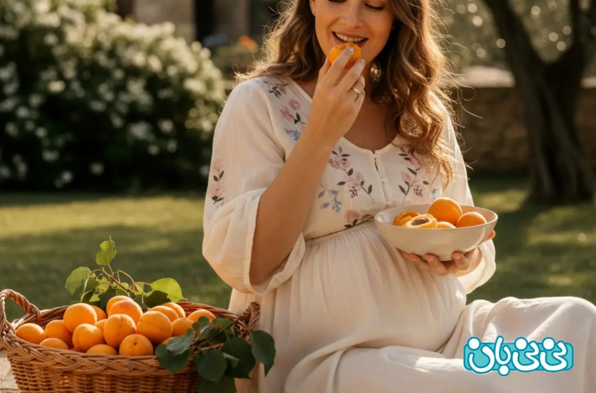 زردآلو در بارداری _ 6 فواید و عوارض + نحوه مصرف