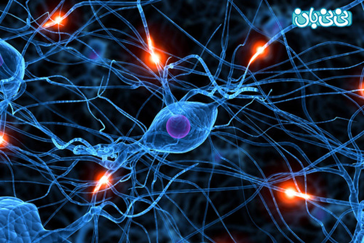 عملکرد مغز برای کودکان، نتایج یک تحقیق