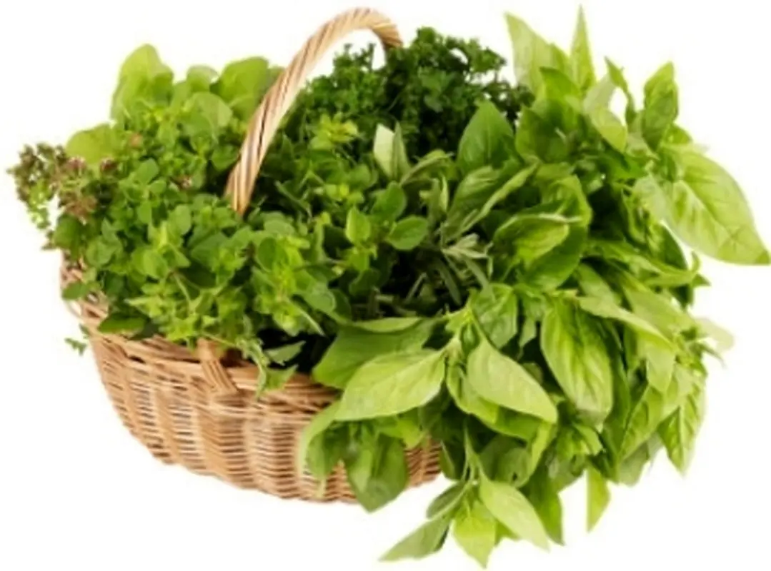 خواص نوبرانه های بهاری، سبزی های کوهی را از دست ندهید