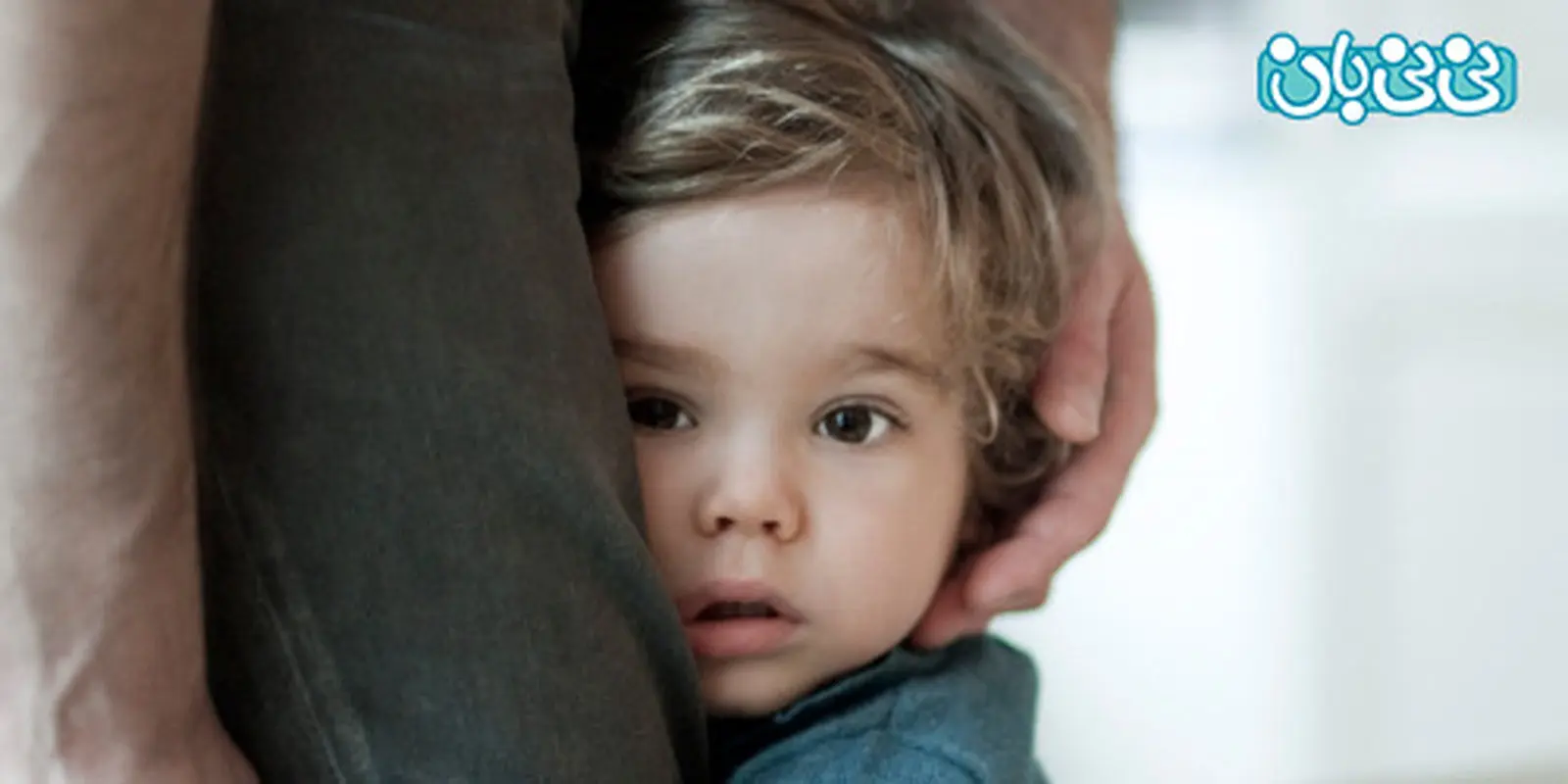 درمان کودکان خجالتی، تاثیر فضای اجتماعی