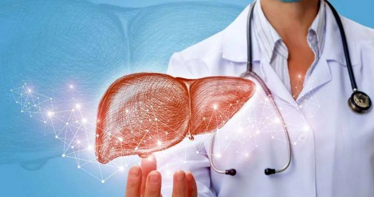 طب ایرانی برای درمان کبد چرب چه پیشنهاداتی دارد؟