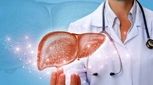 طب ایرانی برای درمان کبد چرب چه پیشنهاداتی دارد؟
