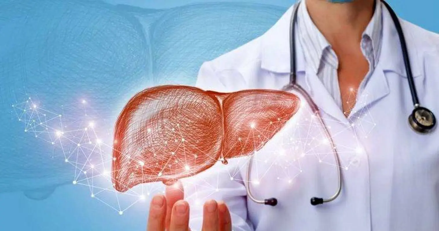 طب ایرانی برای درمان کبد چرب چه پیشنهاداتی دارد؟