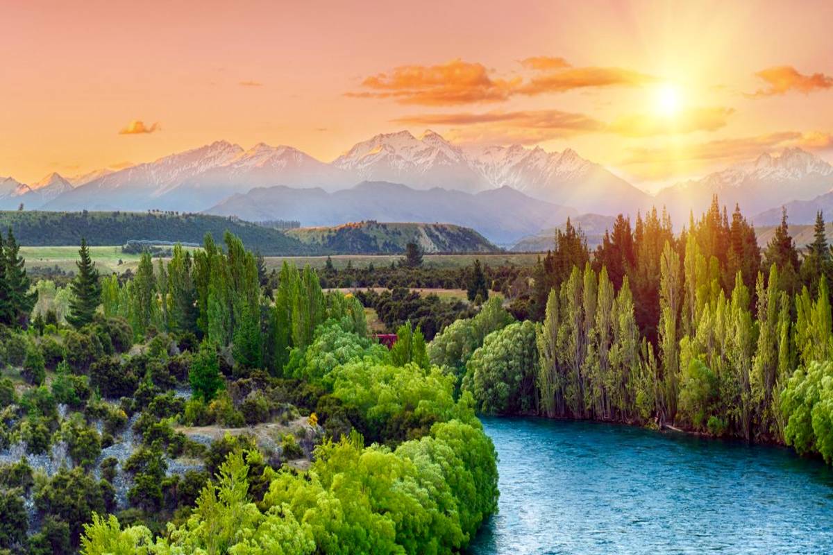 الهام از طبیعت برای طراحی لباس (تصاویر)