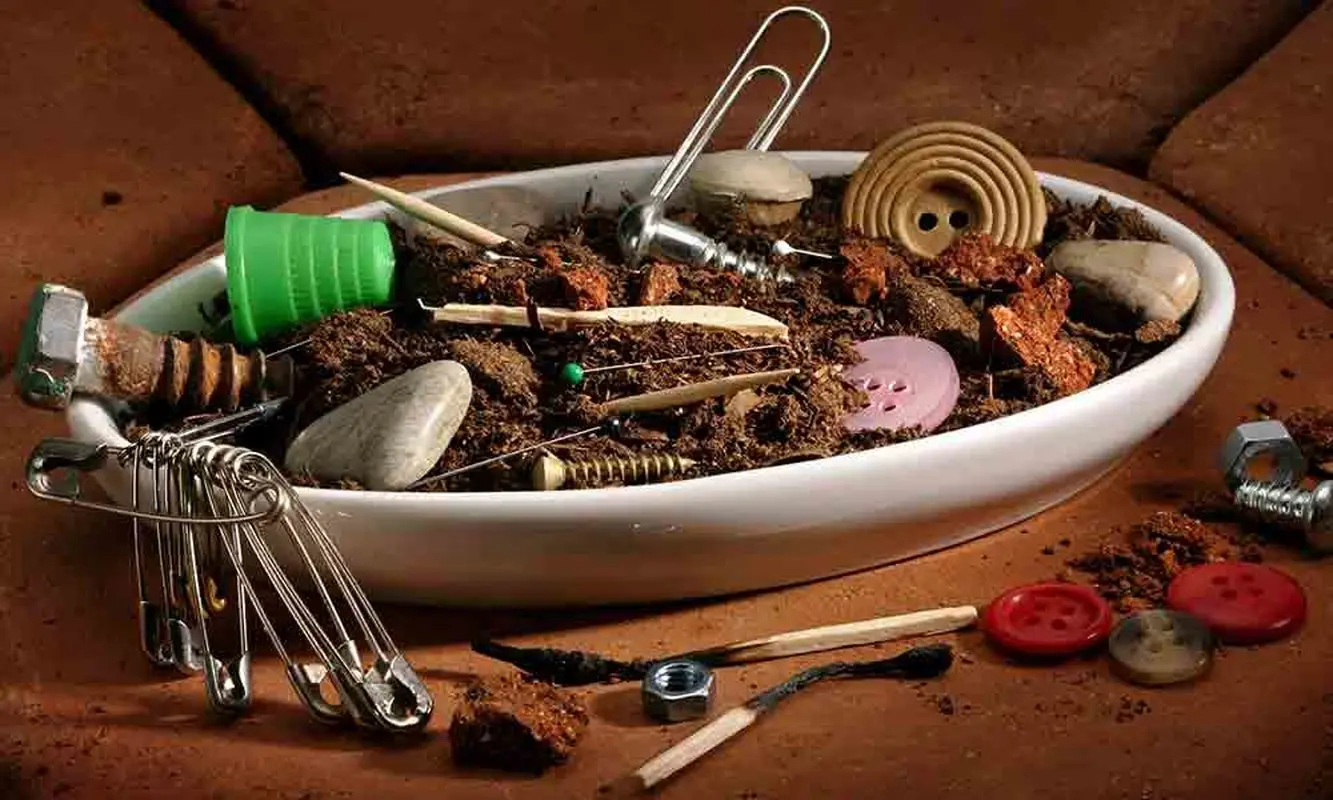 از اختلال تغذیه‌ای پیکا چه می‌دانید؟/ خوردن گچ، مو، صابون، کاغذ، یخ و حتی مدفوع! 