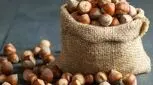 برای تامین ویتامین E بدن روزانه ۱۰ عدد فندق بخورید 

