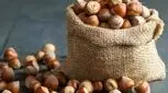 برای تامین ویتامین E بدن روزانه ۱۰ عدد فندق بخورید 

