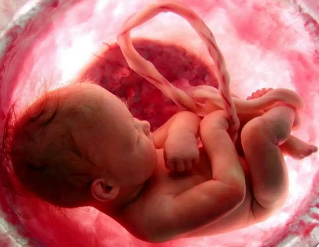 علائم رشد سالم جنین در دوران بارداری؛ از حرکات تا رشد مناسب (ویدئو)