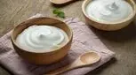 طرز تهیه ماست در خانه
