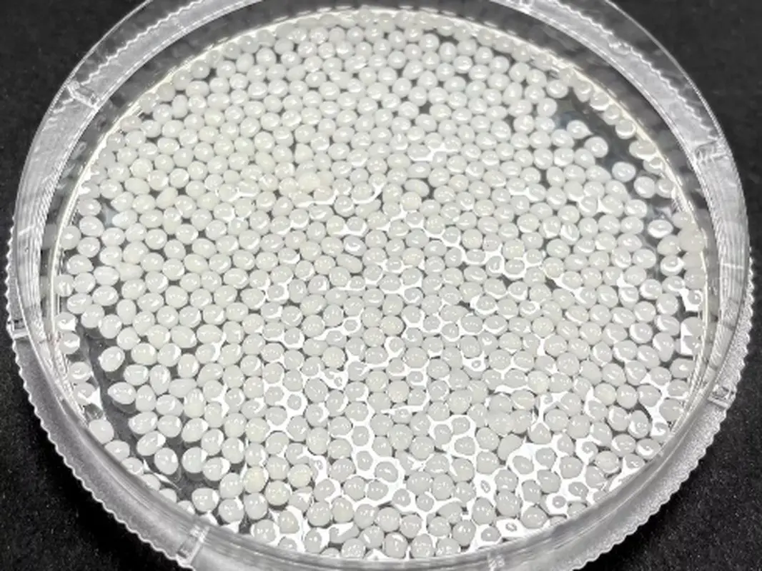 نوآوری جدید برای لاغری: کاهش چربی اضافه بدن با کمک اسفنج خوراکی