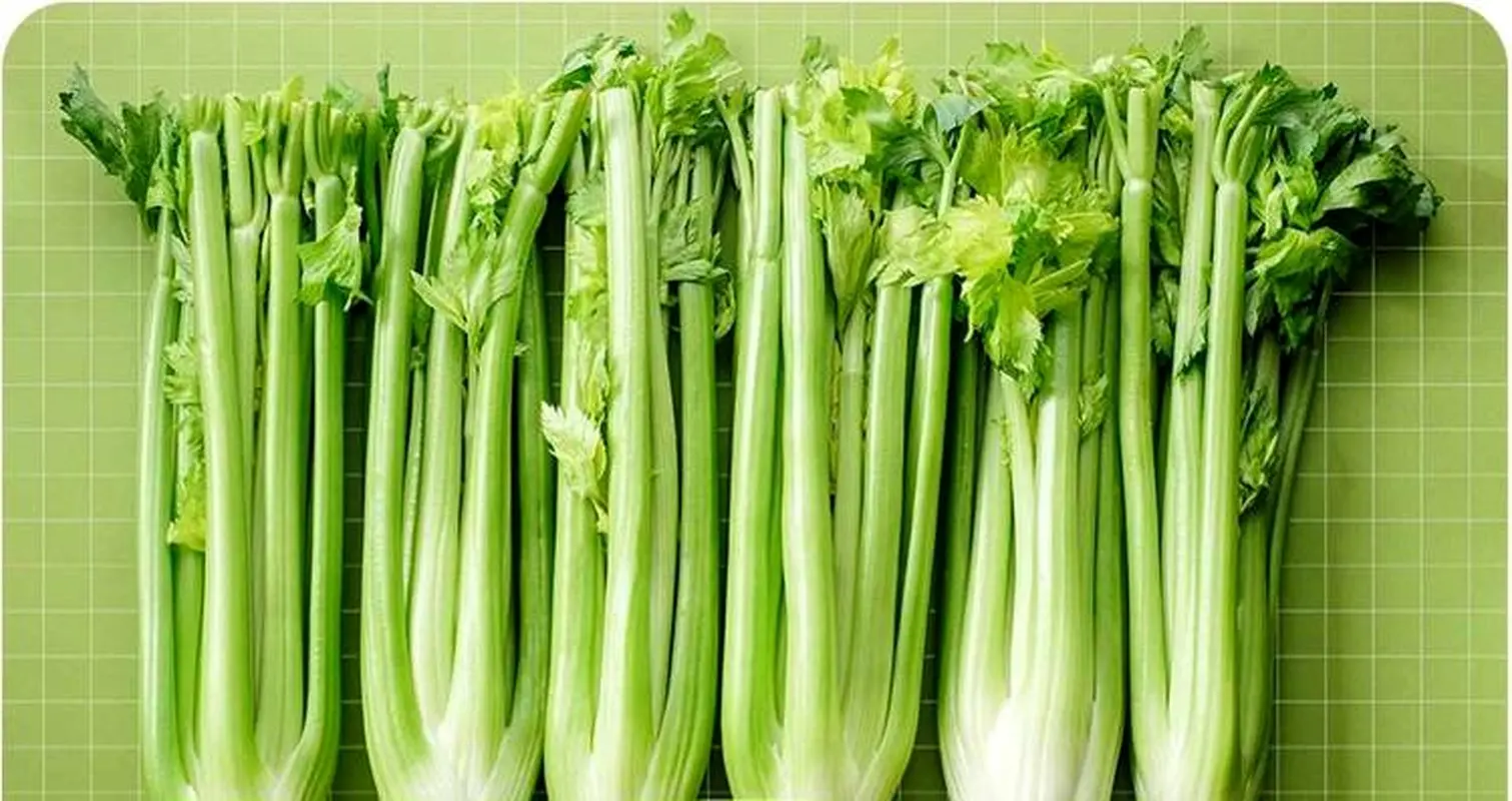 کرفس بیشتر از یک سبزی معمولی است/ آشنایی با خواص این ترد و خوشعطر