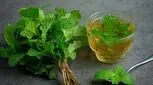 پاک‌سازی بدن با مصرف این گیاه