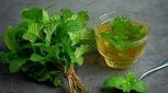 پاک‌سازی بدن با مصرف این گیاه