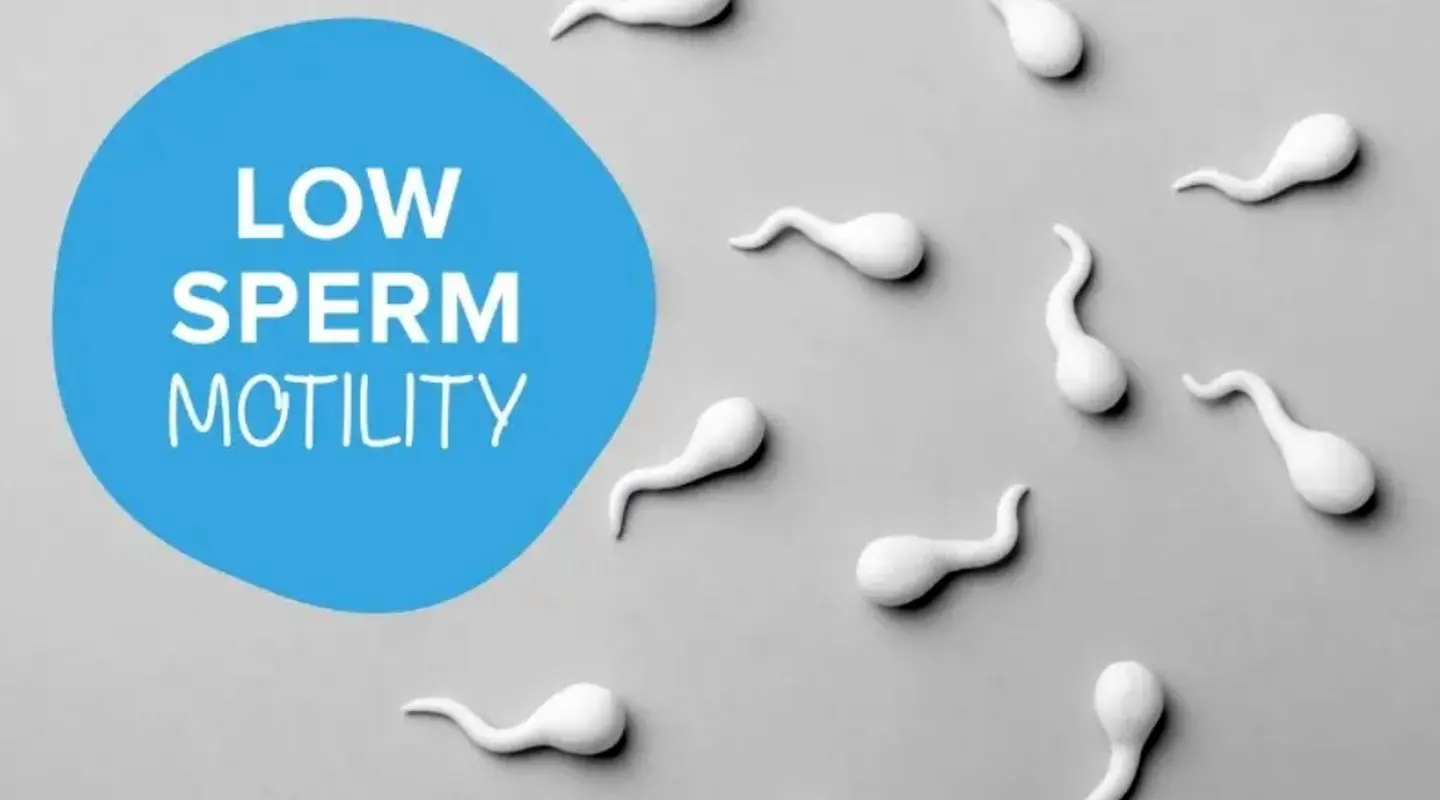 علت کم تحرکی اسپرم چیست؟