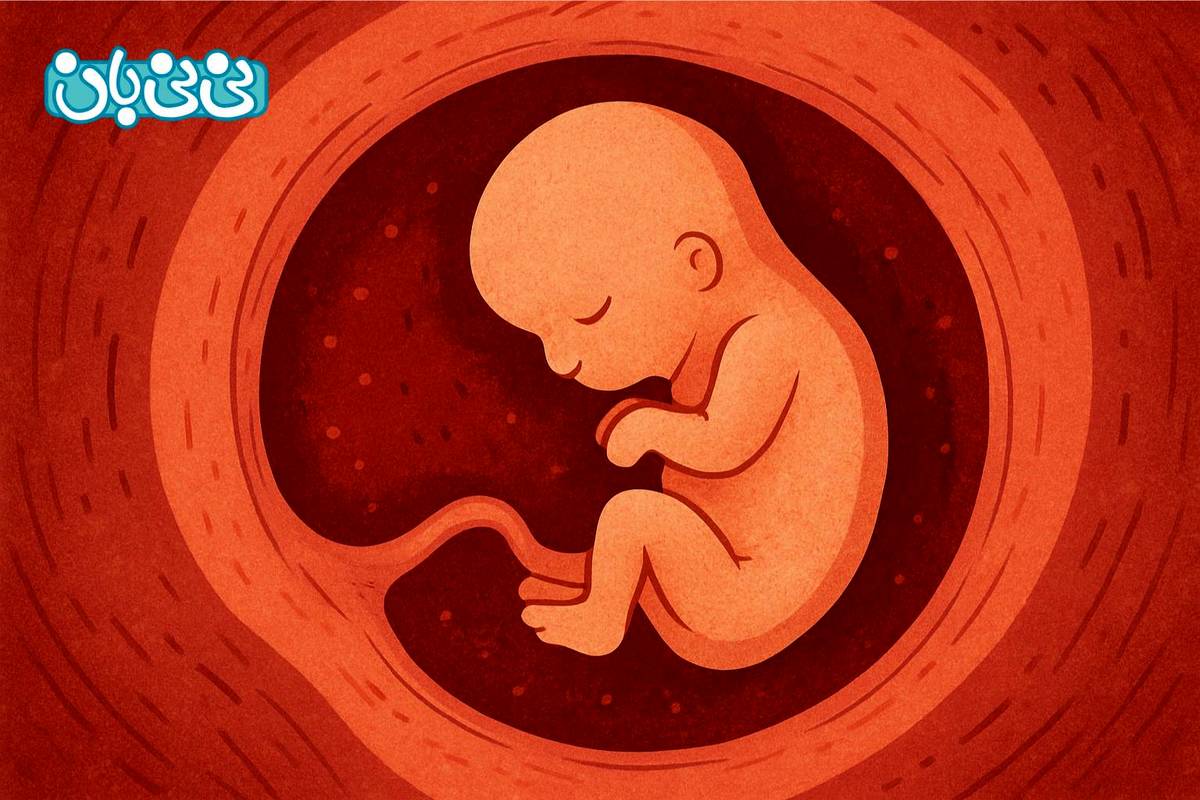قلب جنین در چند هفتگی تشکیل میشود؟ ۸ دلیل دیر تشکیل شدن + ۳ روش تشخیص ضربان قلب جنین