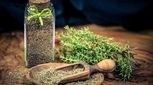 این گیاه فقط چاشنی پیتزا نیست/ خواص ضدسرفه نیز دارد