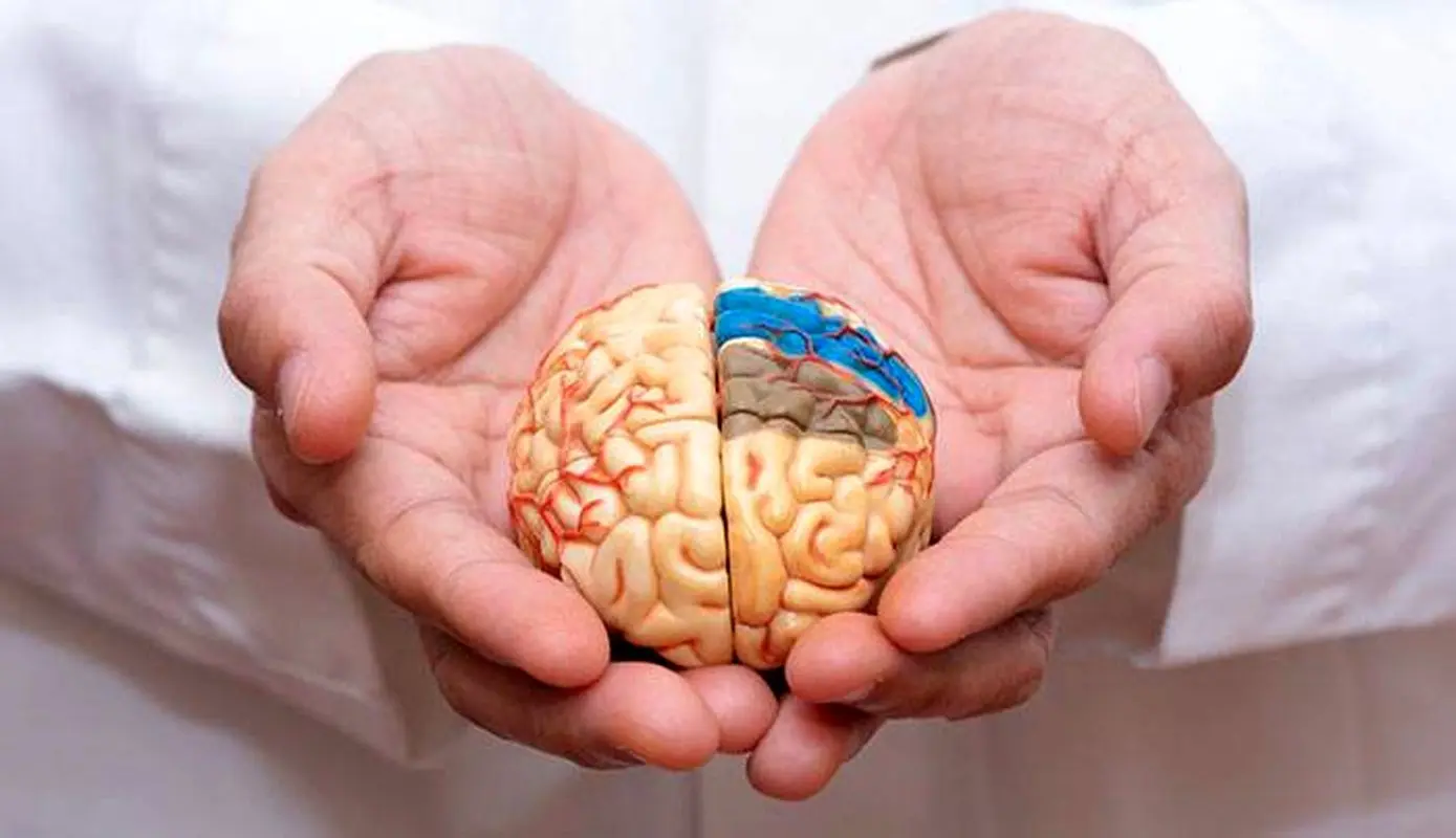 آیا رطوبت بدن باعث فراموشی میشود؟!/ عسل و مویز حافظه را تقویت میکنند؟