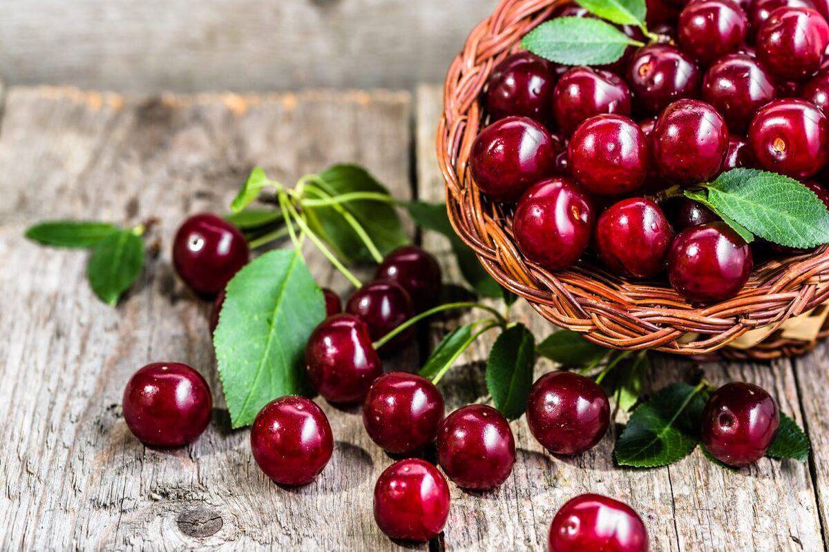 مراقب میوه‌های خراب باشید/ از کرم گیلاس گرفته تا کپک‌ هلو