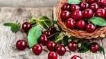 مراقب میوه‌های خراب باشید/ از کرم گیلاس گرفته تا کپک‌ هلو