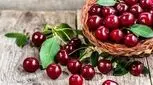مراقب میوه‌های خراب باشید/ از کرم گیلاس گرفته تا کپک‌ هلو
