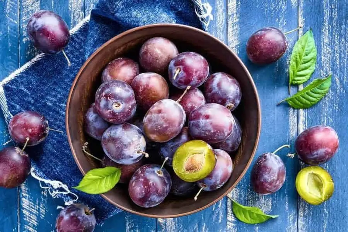 از خواص آب آلو سیاه خبر دارید؟