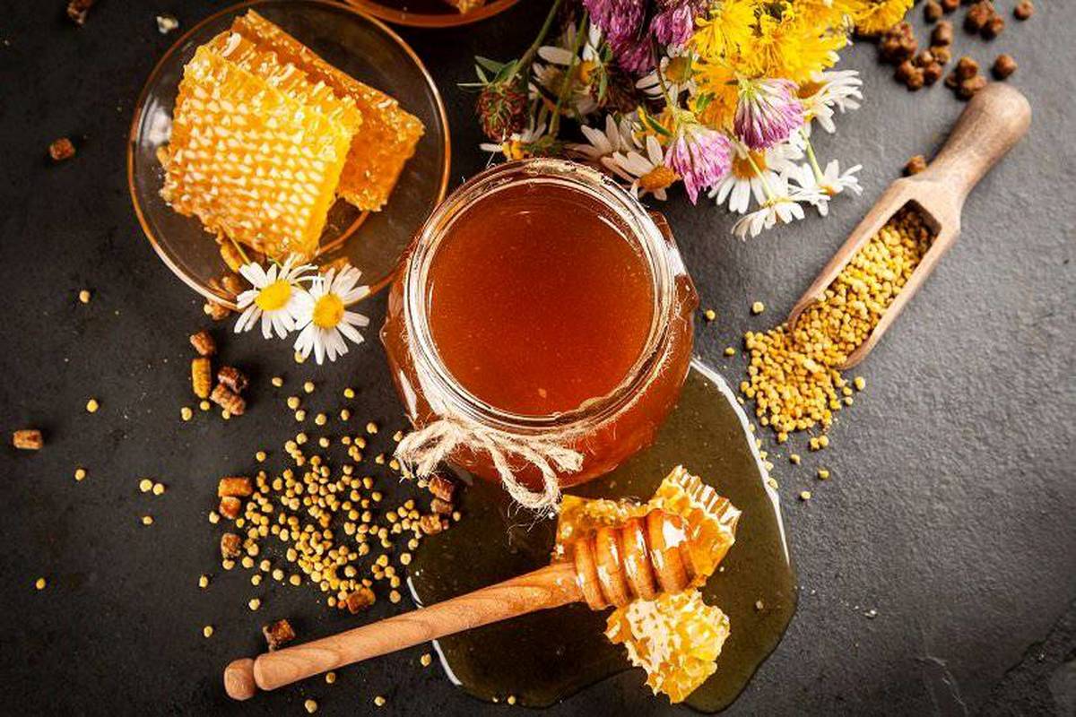 امروز روز جهانی زنبور عسل است/ ۱۰ فایده عسل برای سلامتی