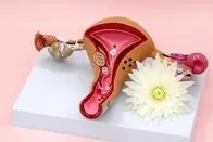 جوانسازی واژن _ 20 روش موثر + مزایا، عوارض و مراقبت‌ها