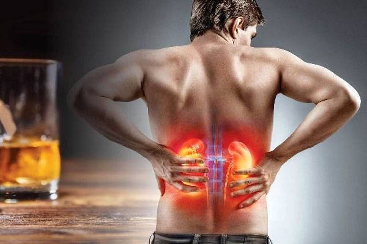 تصحیح یک باور قدیمی اشتباه/ ماءالشعیر برای سنگ کلیه مناسب نیست