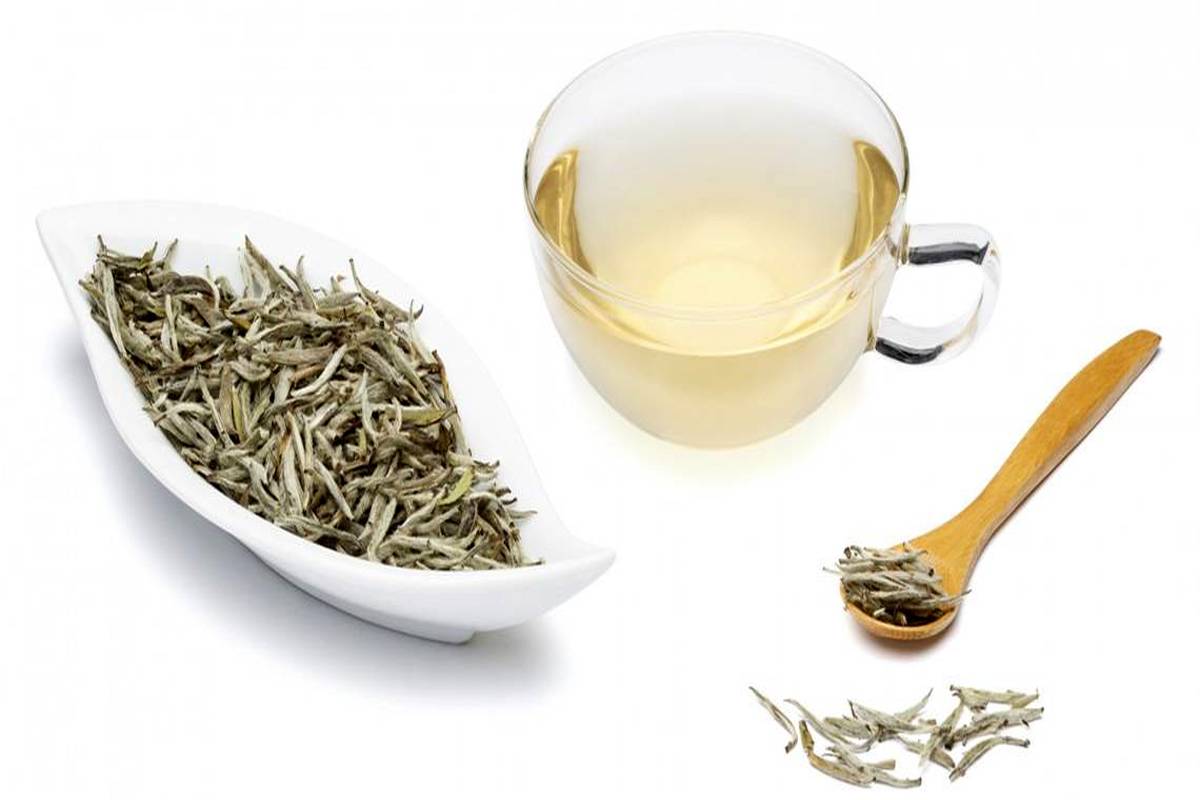 خواص چای سفید برای بدن / از لاغری تا آرامش اعصاب