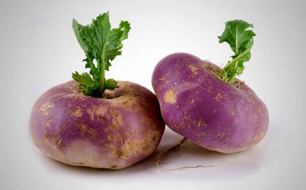 خواص درمانی شلغم، خانم‌ها بخوانند!