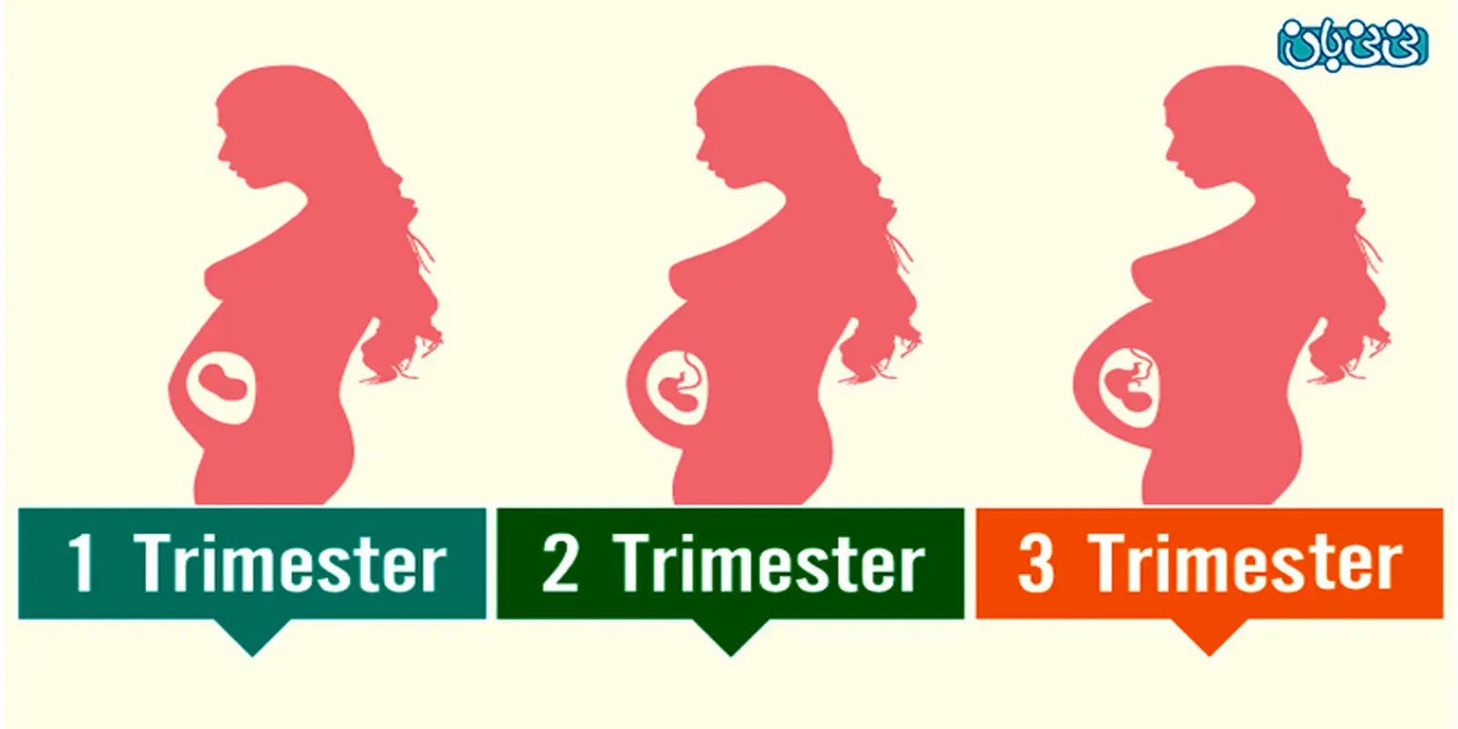 محاسبه روز بارداری، اولین روز را پیدا کنید