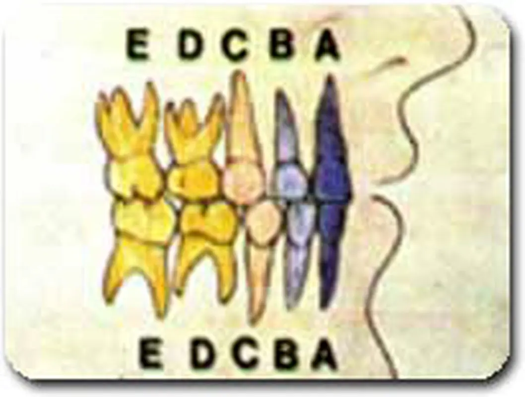 تعداد دندانهای کودک، مراقبت از شیری‌ها
