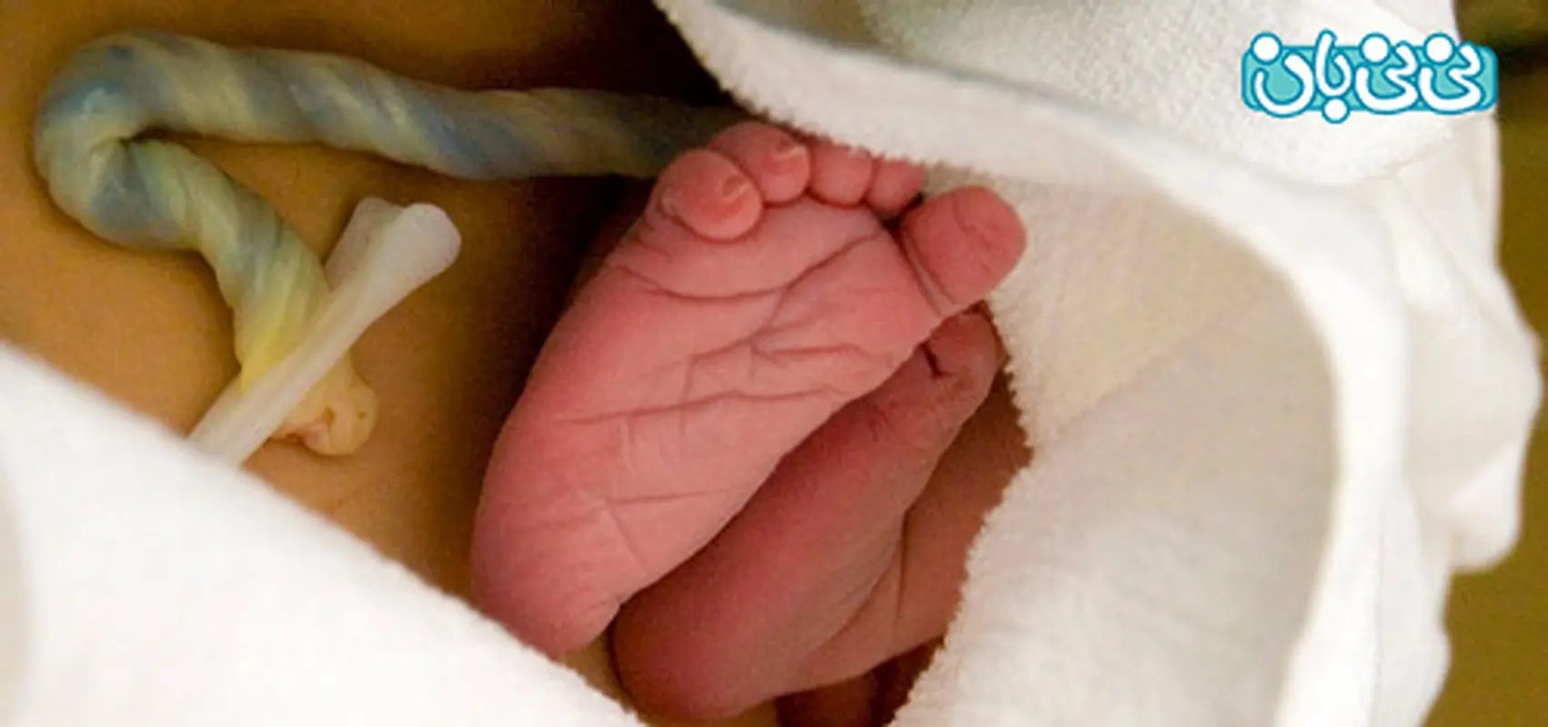 خون بند ناف، راه درمان 80 نوع بیماری