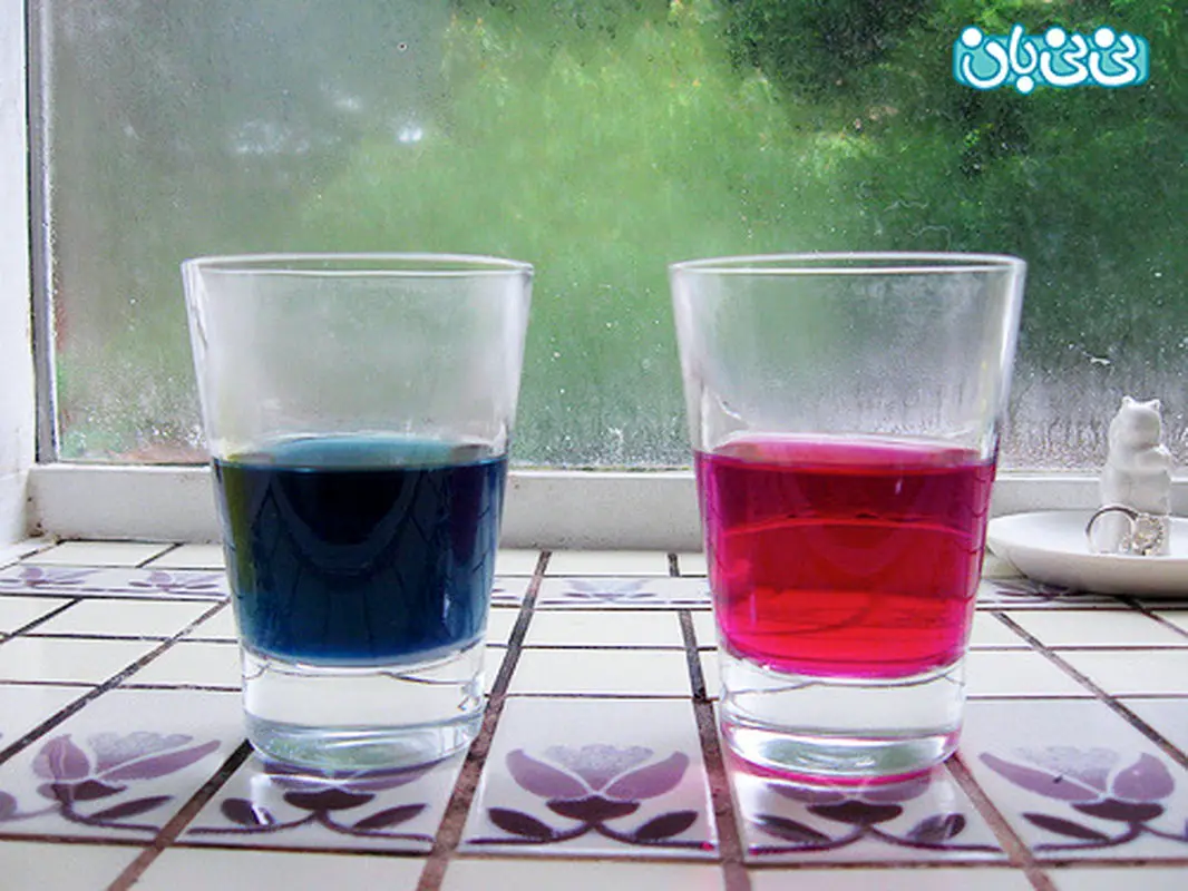 تعیین جنسیت جنین با کلم قرمز