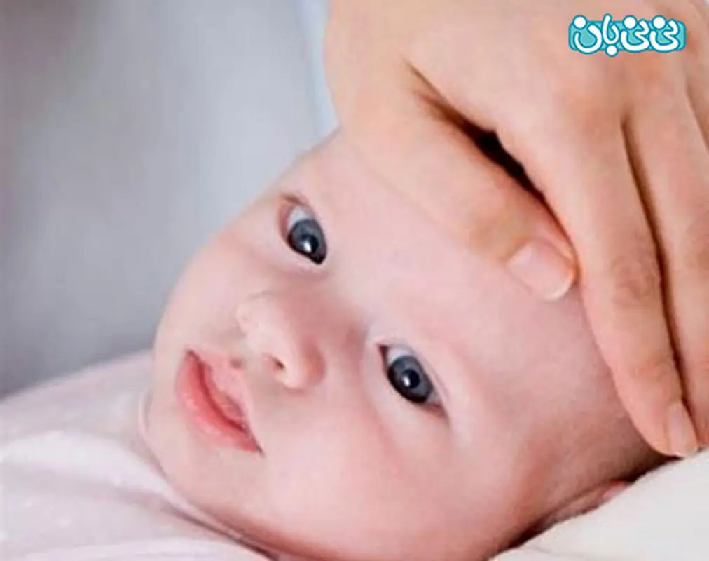 تب مالت، علائم بیماری و درمان