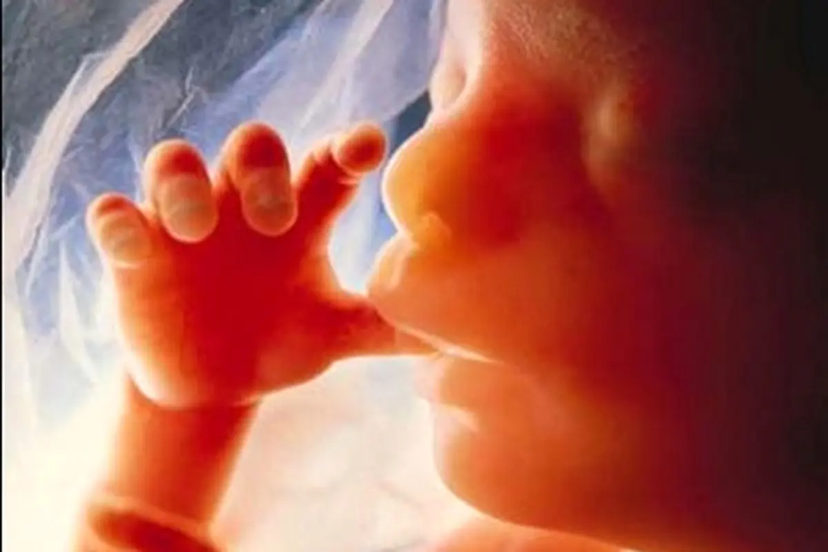 حرکات جنین در شکم، کوچولو خمیازه هم می کشد!