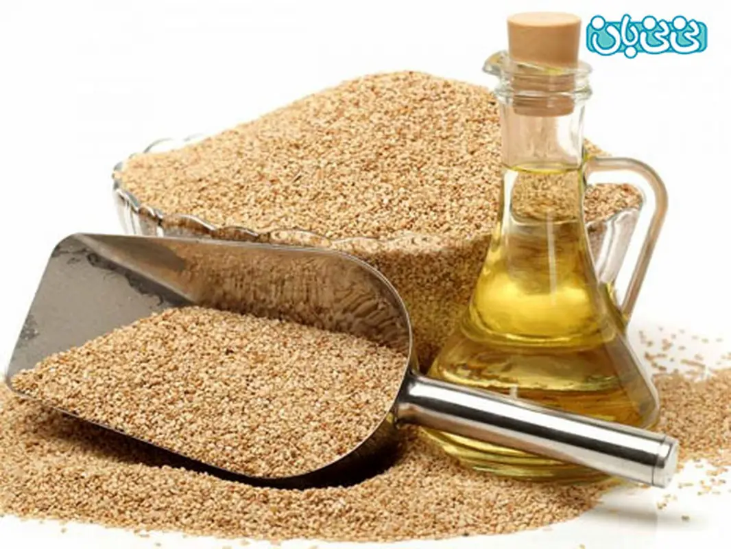 خواص کنجد برای نوپایان، منبع عالی آهن و روی