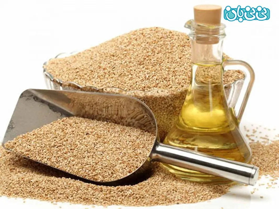 خواص کنجد برای نوپایان، منبع عالی آهن و روی