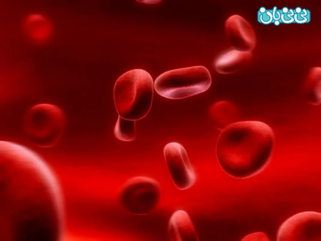 تفاوت گروه های خونی در چیست؟