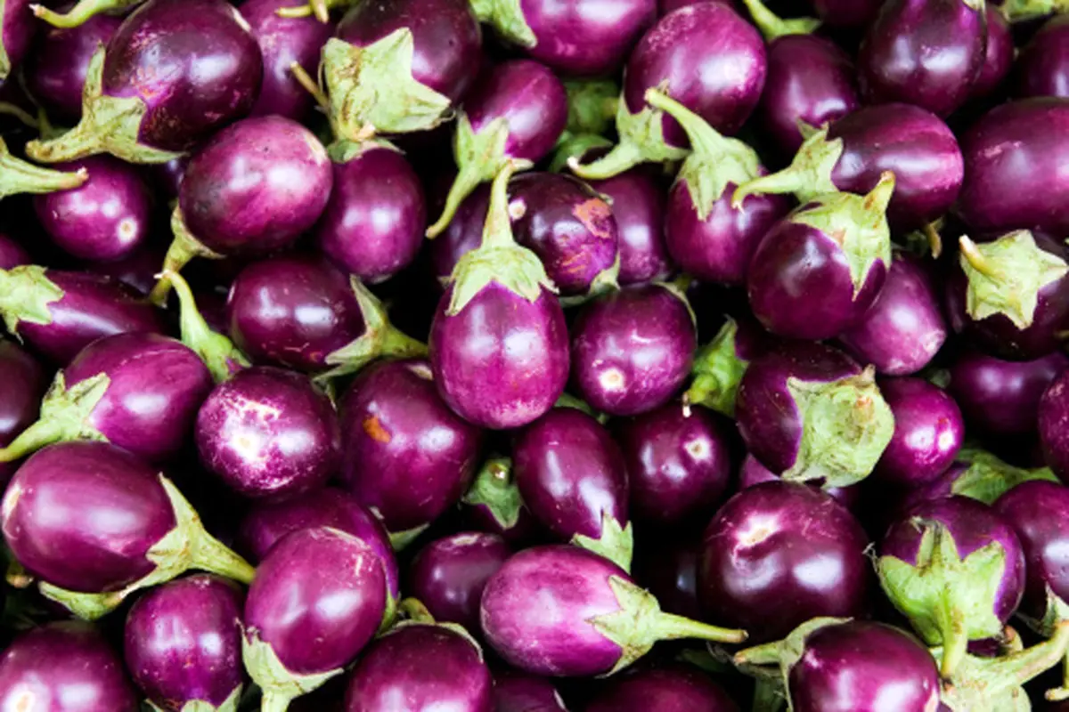 بادمجان برای زن باردار ضرر دارد؟