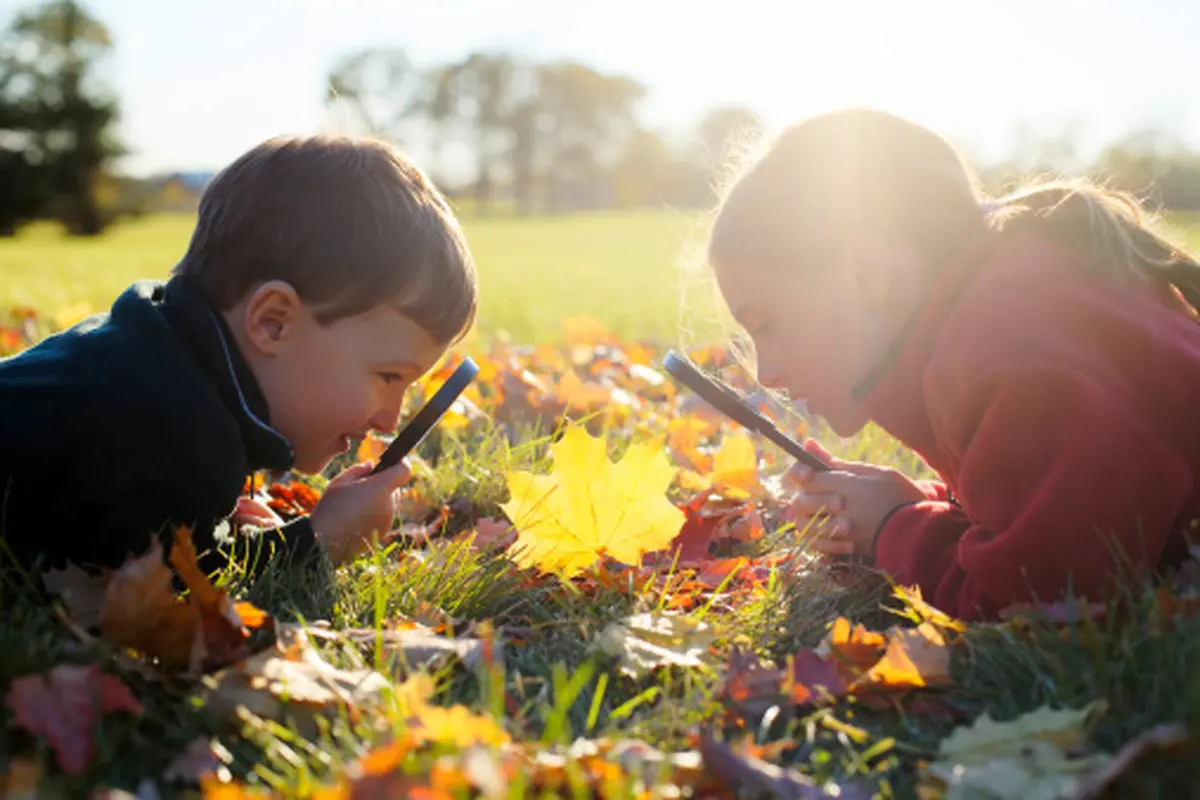 حق انتخاب کودکان، برای انتخاب کلاسهای تابستانه