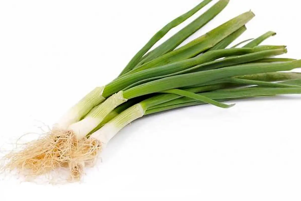 میزان مصرف پیازچه در بارداری